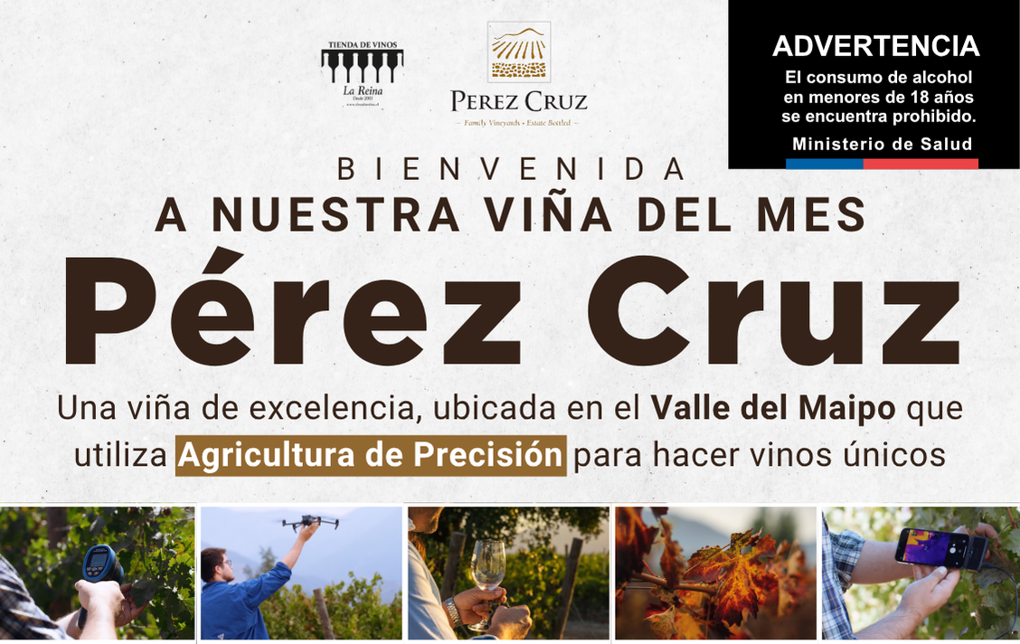 Pérez Cruz - Viña del Mes en Vinos La Reina