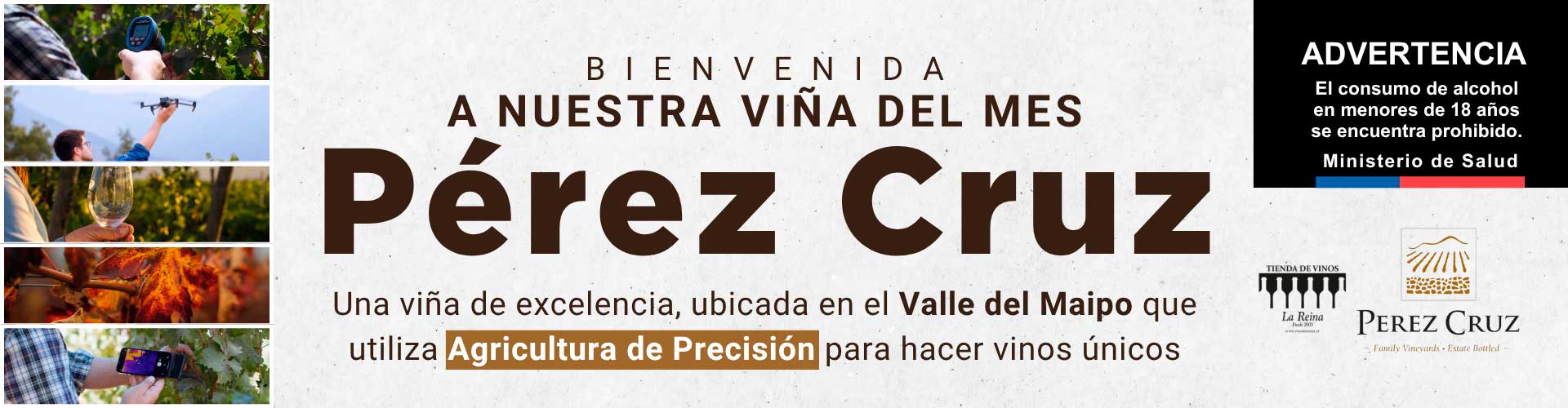 Pérez Cruz - Viña del Mes en Vinos La Reina
